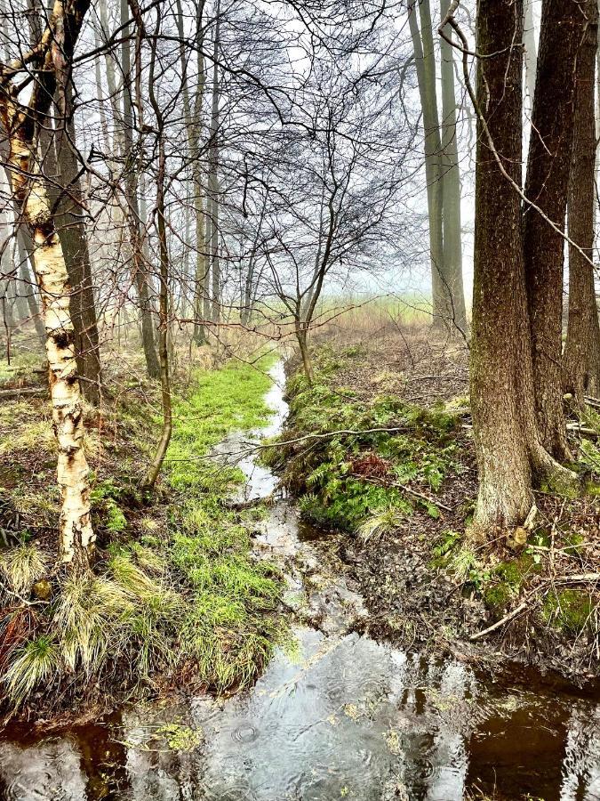 Little Visselhovede